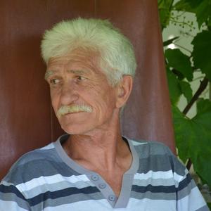 Виктор, 72 года, Сургут