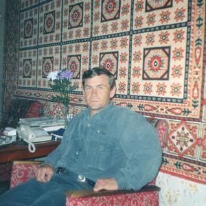 Алексей Ерёмин, 65 лет, Тогул