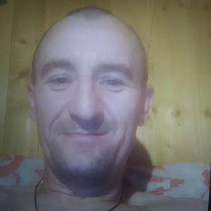 Дмитрий, 43 года, Александров