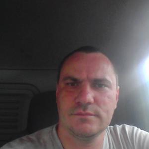Сергей Сергеев, 42 года, Климовск