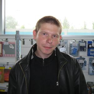 Юрий Лисой, 40 лет, Кингисепп