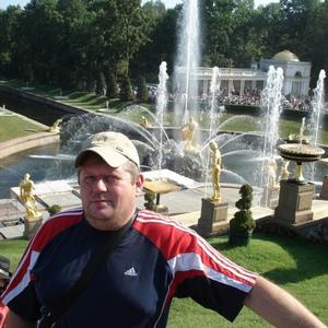 Михаил Перфилов, 53 года, Покров