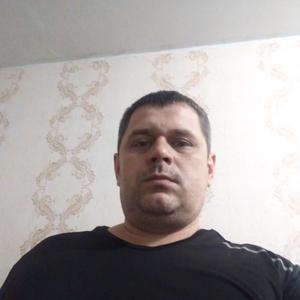Денис, 42 года, Курск
