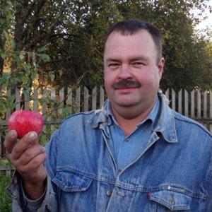 Павел, 51 год, Кострома