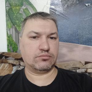 Николай, 43 года, Ачинск