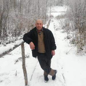 Леонид, 49 лет, Волжск