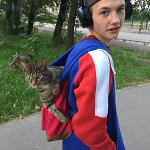 Вячеслав, 25 лет, Сланцы