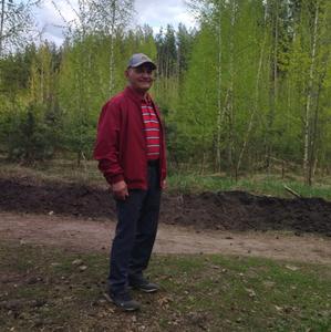Николай, 74 года, Воронеж