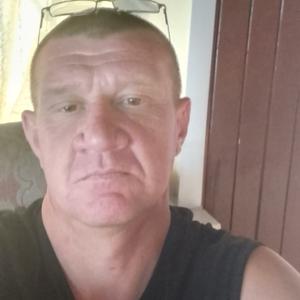 Владимир, 44 года, Топки
