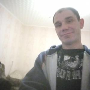Сергей, 43 года, Малая Вишера