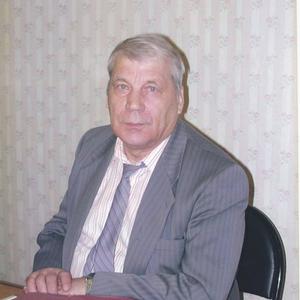 Николай Клименчук, 87 лет, Хабаровск
