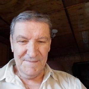 Александр, 71 год, Москва