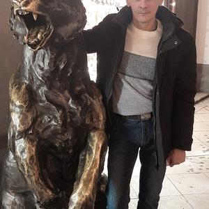 Парни в Шадринске: Алексей, 40 - ищет девушку из Шадринска