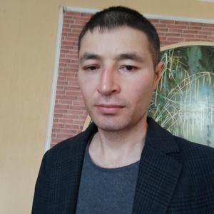 Рашид Хаджибаев, 36 лет, Тюмень