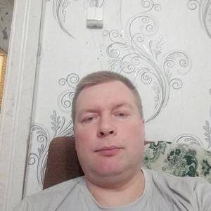Сергей, 43 года, Луга
