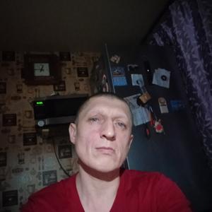Александр, 43 года, Елизово
