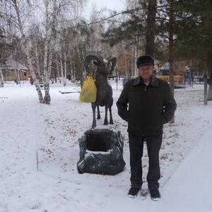 Владимир, 70 лет, Барнаул