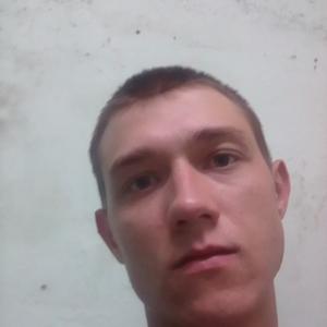 Никита, 24 года, Сафоново
