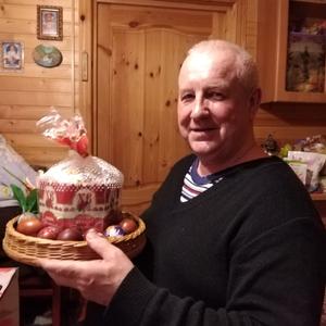 Николай, 73 года, Санкт-Петербург