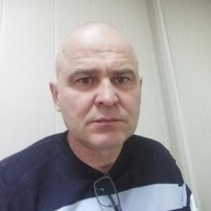 Виктор Тараненко, 51 год, Богословка