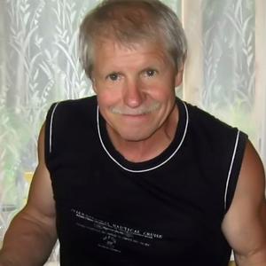 Владимир, 73 года, Санкт-Петербург