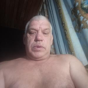 Гром, 64 года, Ярославль