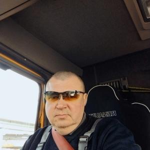 Александр Шнайдер, 46 лет, Видное