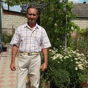Алексей Денишенко, 60 лет, Майкоп