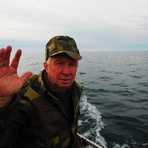 Вячеслав, 71 год, Ростов-на-Дону