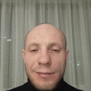 Александр Васильев, 45 лет, Сыктывкар