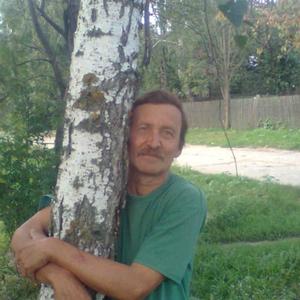 Андрей, 65 лет, Орел