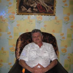 Виталий Шиянов, 64 года, Знаменск