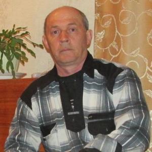 Вячеслав, 66 лет, Палласовка