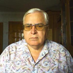 Сергей, 68 лет, Нижний Новгород