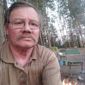 Григорий, 68 лет, Чайковский