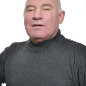 Николай, 63 года, Дедовск