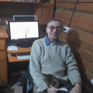 Николай, 64 года, Вязьма