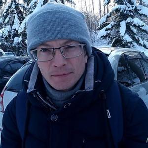 Дмитрий, 43 года, Железногорск