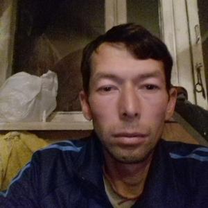 Хакимчон Шамсидинов, 38 лет, Пущино