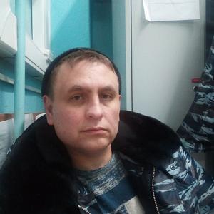 Сергей Михайлов, 49 лет, Озерск
