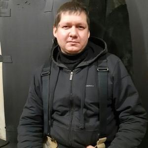 Иван, 40 лет, Владимир