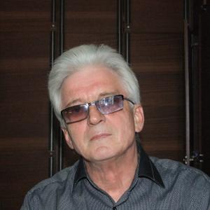 Михаил, 70 лет, Тула