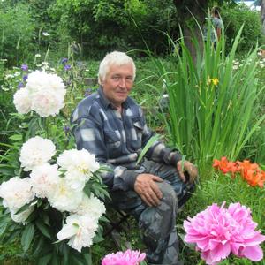 Иван, 70 лет, Кемь