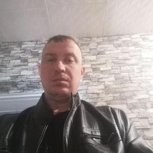 Николай, 37 лет, Белово