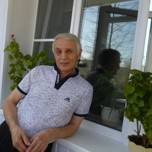 Виктор, 74 года, Златоуст