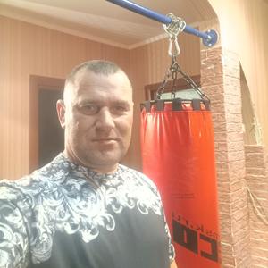 Олег, 39 лет, Белгород