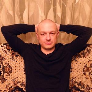 Дмитрий Мещеряков, 39 лет, Липецк