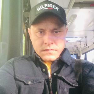 Динар, 40 лет, Нижнекамск