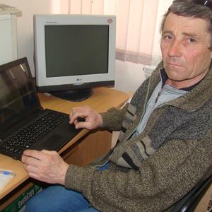 Михаил, 65 лет, Копейск