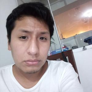Leo, 35 лет, Lima